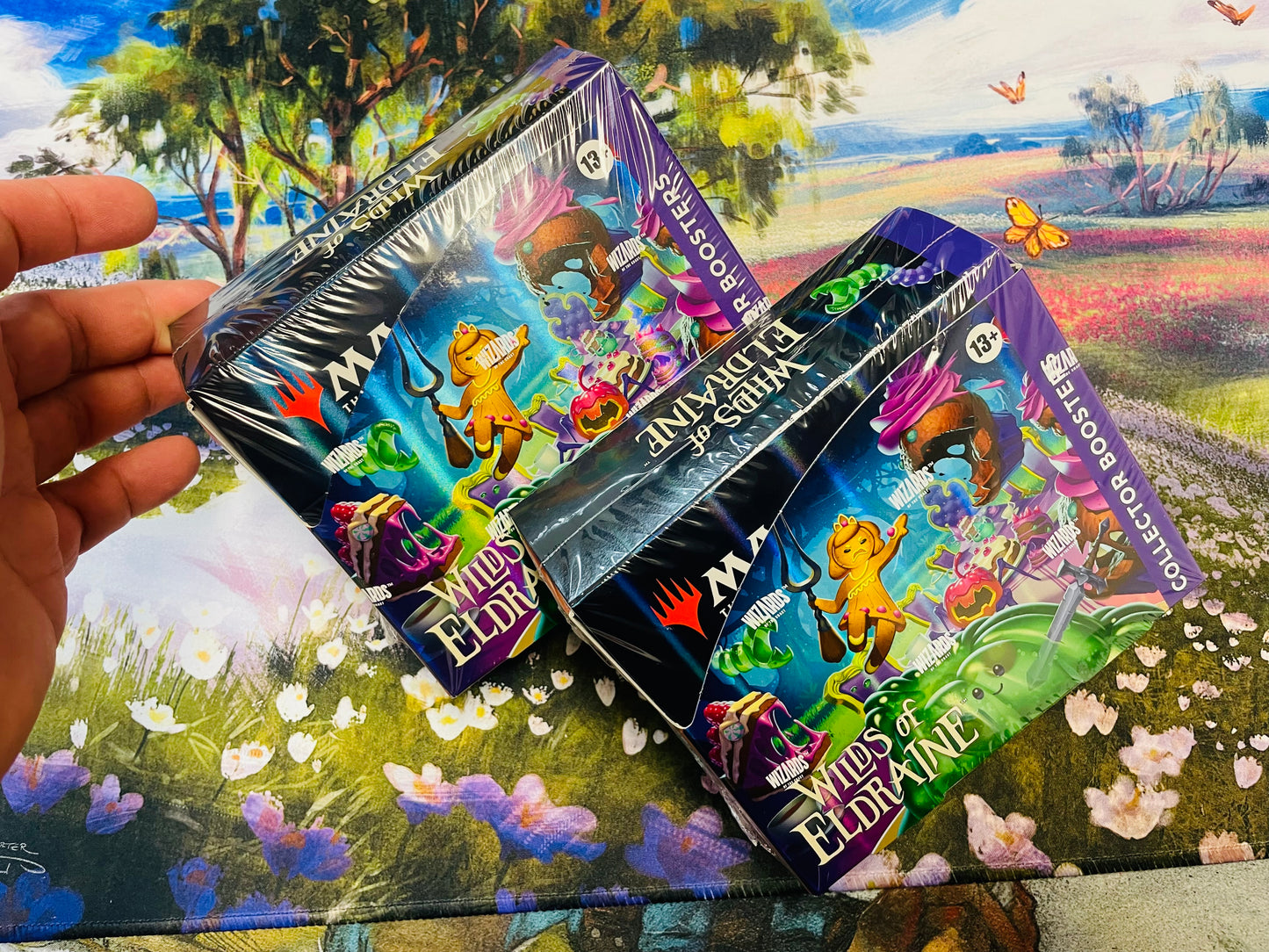 2-4-24 Wilds of Eldraine CB pack 2x